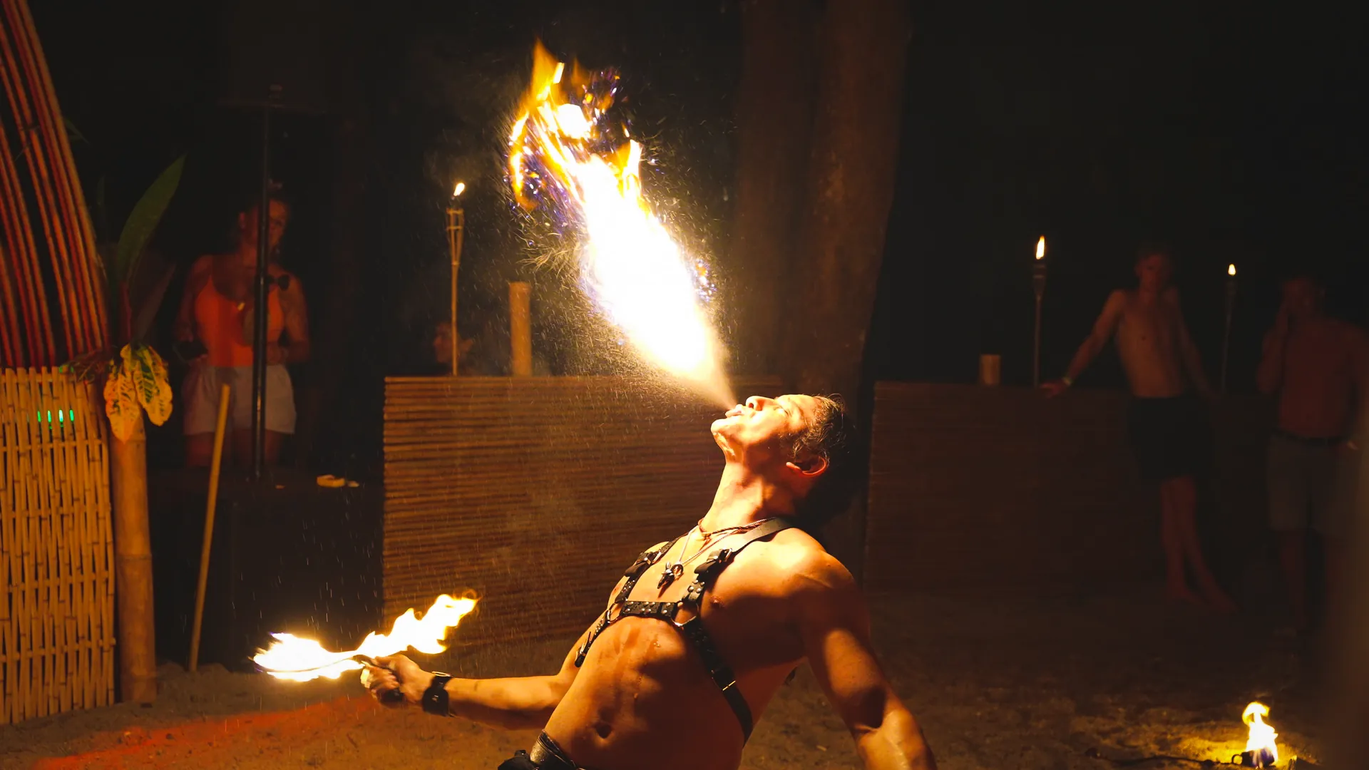 Evening atmosphere at Lunar Ritual